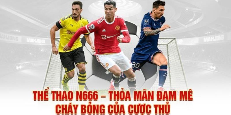 Thể thao dẫn đầu thị trường